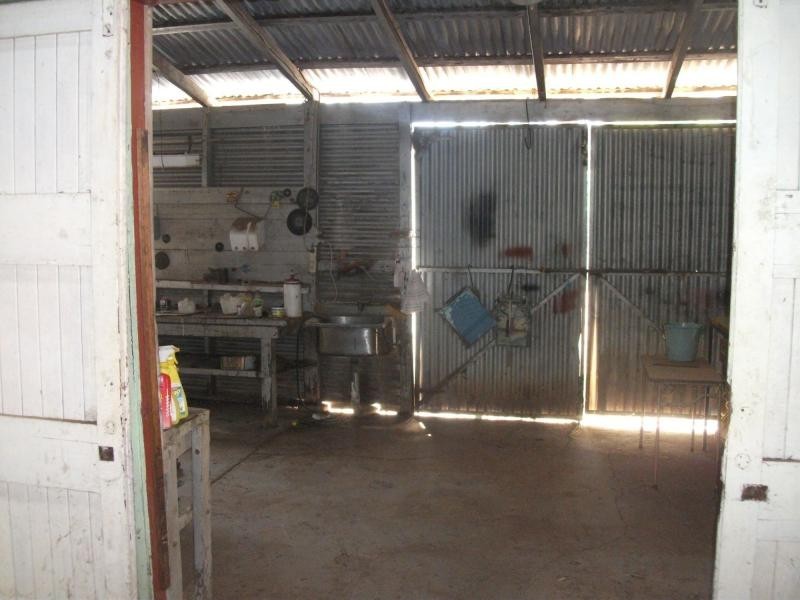 3 Dandaloo Street, Trangie NSW 2823