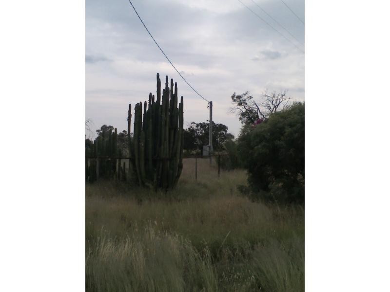 Lot 1 Bourke Street, Girilambone NSW 2831