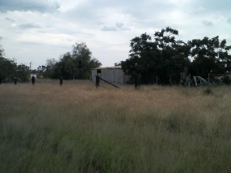 Lot 1 Bourke Street, Girilambone NSW 2831