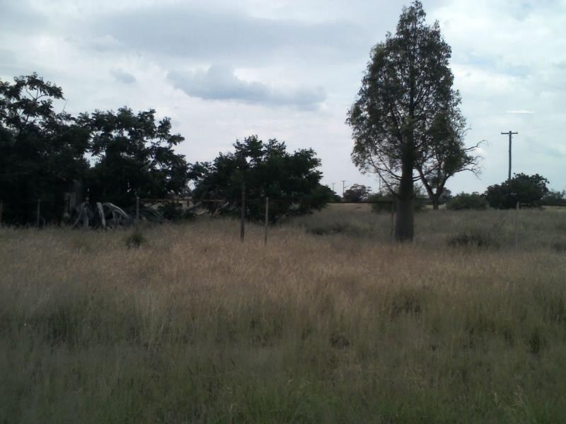 Lot 1 Bourke Street, Girilambone NSW 2831