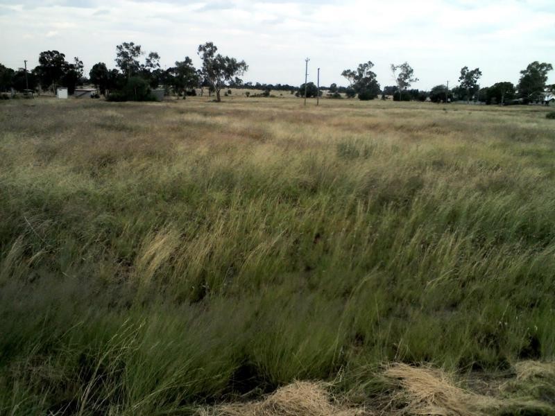 Lot 2 Bourke Street, Girilambone NSW 2831