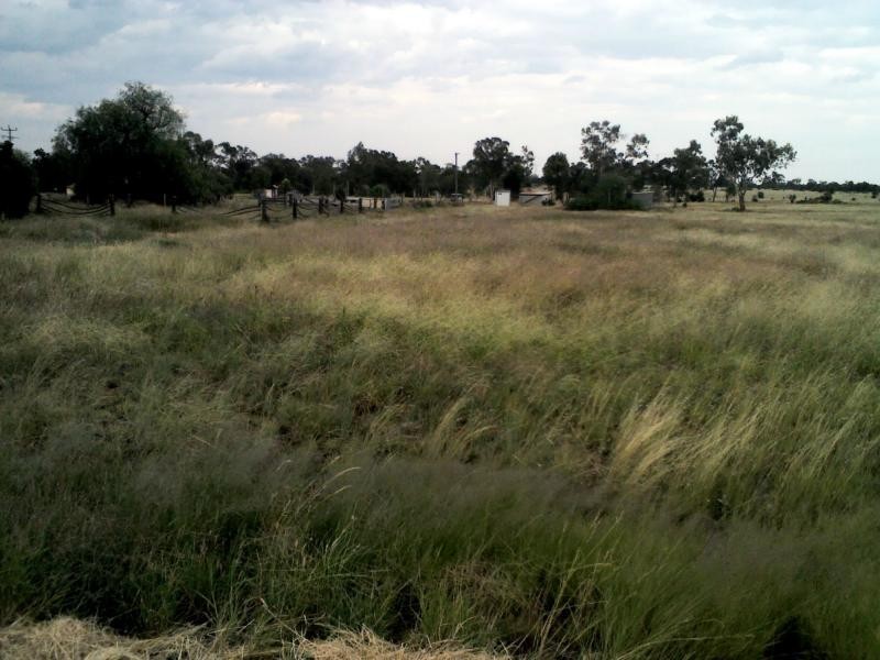 Lot 2 Bourke Street, Girilambone NSW 2831