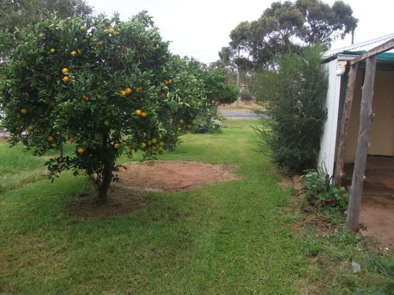 56* Moodana Street, Tottenham NSW 2873