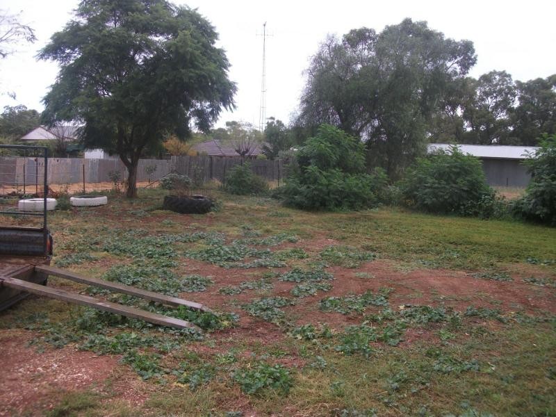 56 Moodana Street, Tottenham NSW 2873