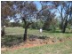 Lot 6 Federation Street, Albert NSW 2873
