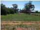 Lot 6 Federation Street, Albert NSW 2873