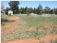 Lot 12 Comeback Street, Albert NSW 2873