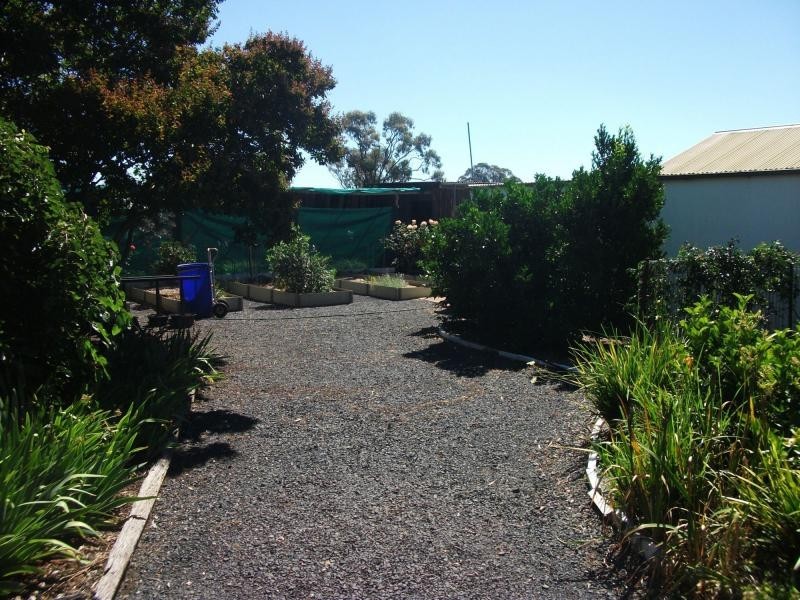 165 Mitchell Highway, Trangie NSW 2823