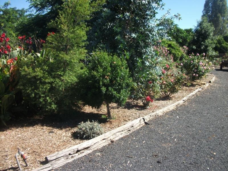 165 Mitchell Highway, Trangie NSW 2823