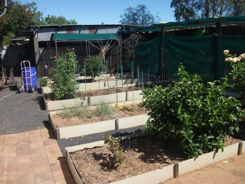 165 Mitchell Highway, Trangie NSW 2823