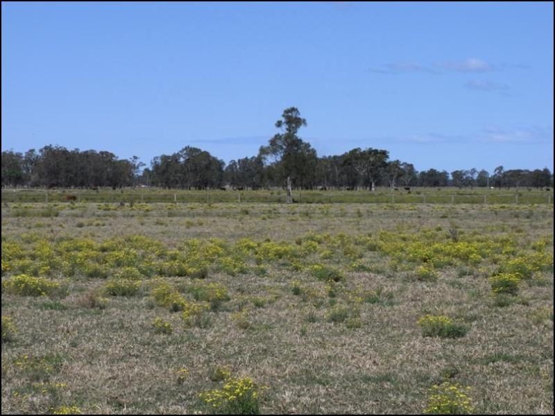 L613 Menarcobrinni Road, Clybucca NSW 2440
