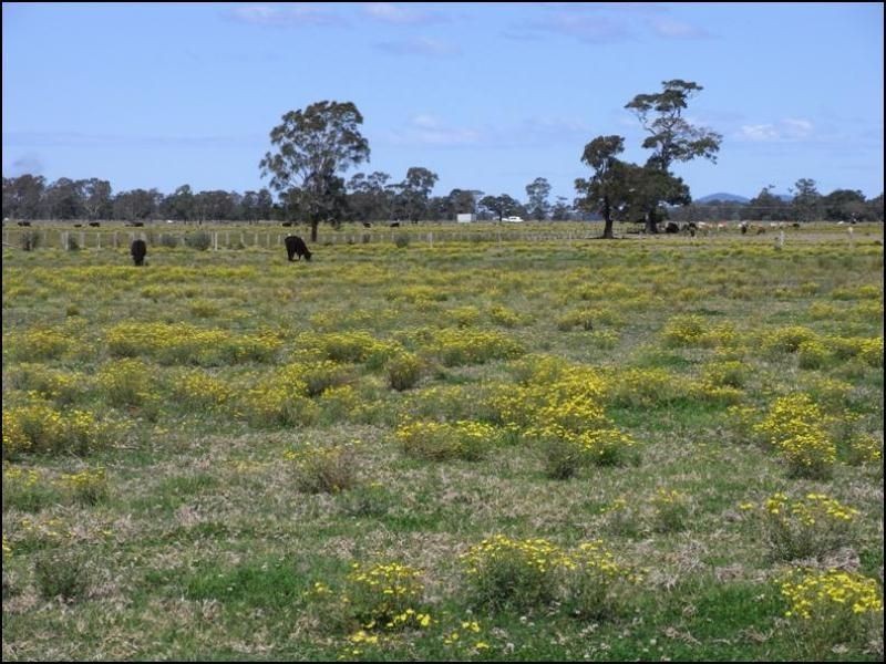 L631 Menarcobrinni Road, Clybucca NSW 2440