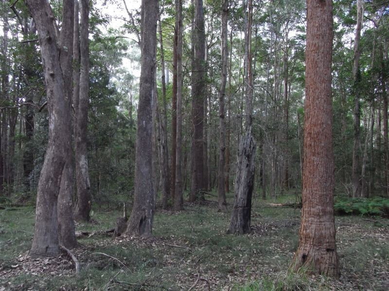 Lot 42, 41, 142 Seale Road, Kempsey NSW 2440