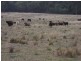 Lot 1, 18, 19 Mungay Flat Road, Kempsey NSW 2440