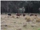 Lot 1, 18, 19 Mungay Flat Road, Kempsey NSW 2440