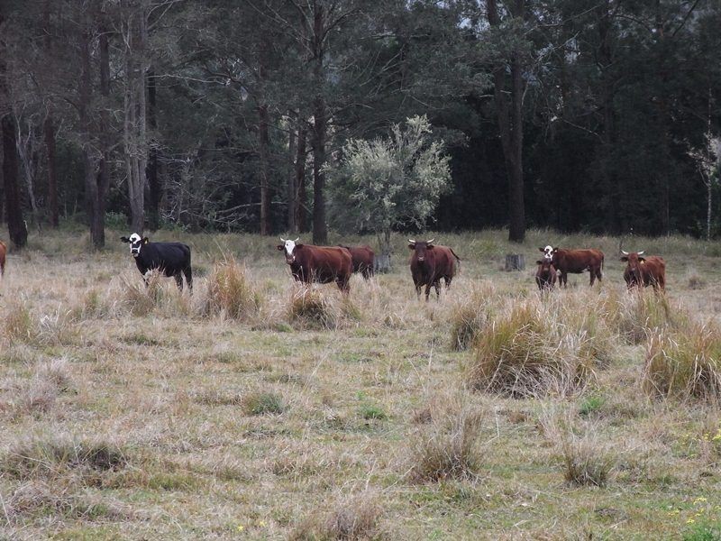 Lot 1, 18, 19 Mungay Flat Road, Kempsey NSW 2440