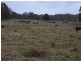 Lot 1, 18, 19 Mungay Flat Road, Kempsey NSW 2440