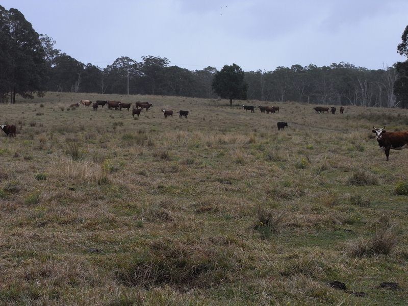 Lot 1, 18, 19 Mungay Flat Road, Kempsey NSW 2440