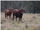 Lot 1, 18, 19 Mungay Flat Road, Kempsey NSW 2440
