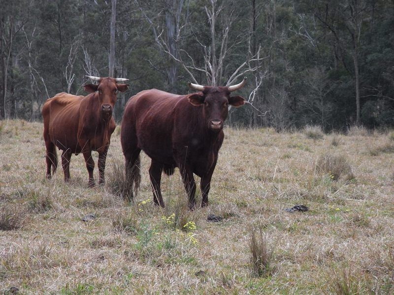 Lot 1, 18, 19 Mungay Flat Road, Kempsey NSW 2440