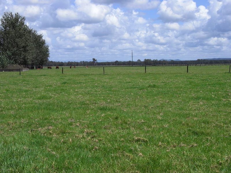 143 Sutherlands Lane, Bellimbopinni NSW 2440