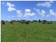 143 Sutherlands Lane, Bellimbopinni NSW 2440