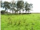 Lot 211, 212, 214 Andersons Lane, Belmore River NSW 2440