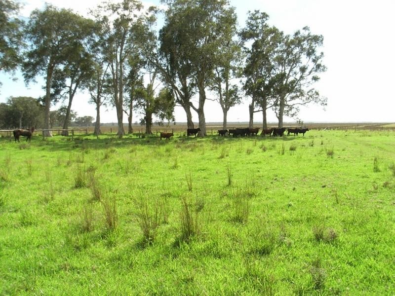 Lot 211, 212, 214 Andersons Lane, Belmore River NSW 2440