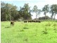 Lot 211, 212, 214 Andersons Lane, Belmore River NSW 2440