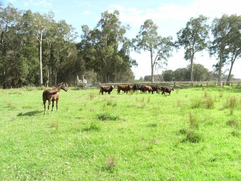 Lot 211, 212, 214 Andersons Lane, Belmore River NSW 2440