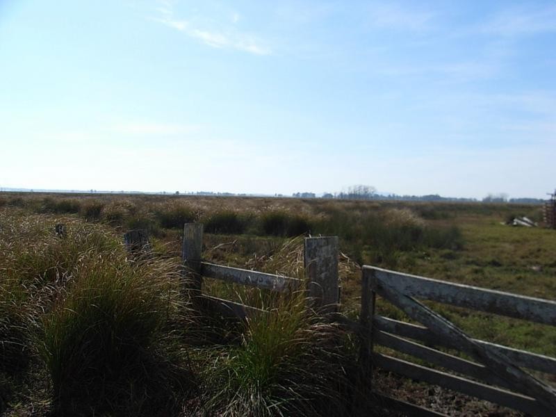 Lot 182 Syd Sutherlands Lane, Bellimbopinni NSW 2440