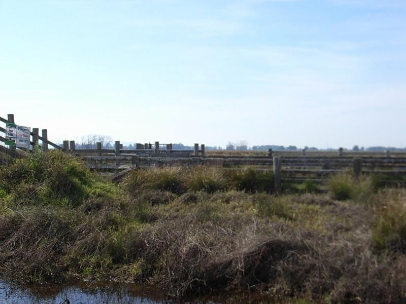 Lot 182 Syd Sutherlands Lane, Bellimbopinni NSW 2440