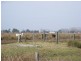Lot 182 Syd Sutherlands Lane, Bellimbopinni NSW 2440