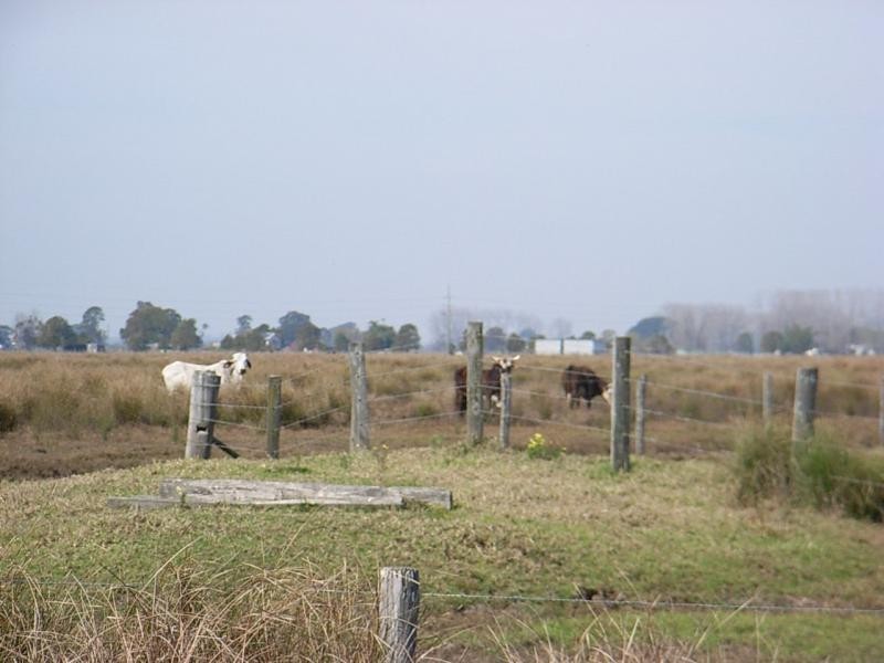 Lot 182 Syd Sutherlands Lane, Bellimbopinni NSW 2440