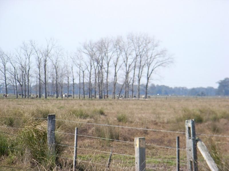 Lot 182 Syd Sutherlands Lane, Bellimbopinni NSW 2440
