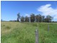 166 Plummers Lane, Clybucca NSW 2440