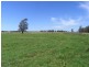 166 Plummers Lane, Clybucca NSW 2440