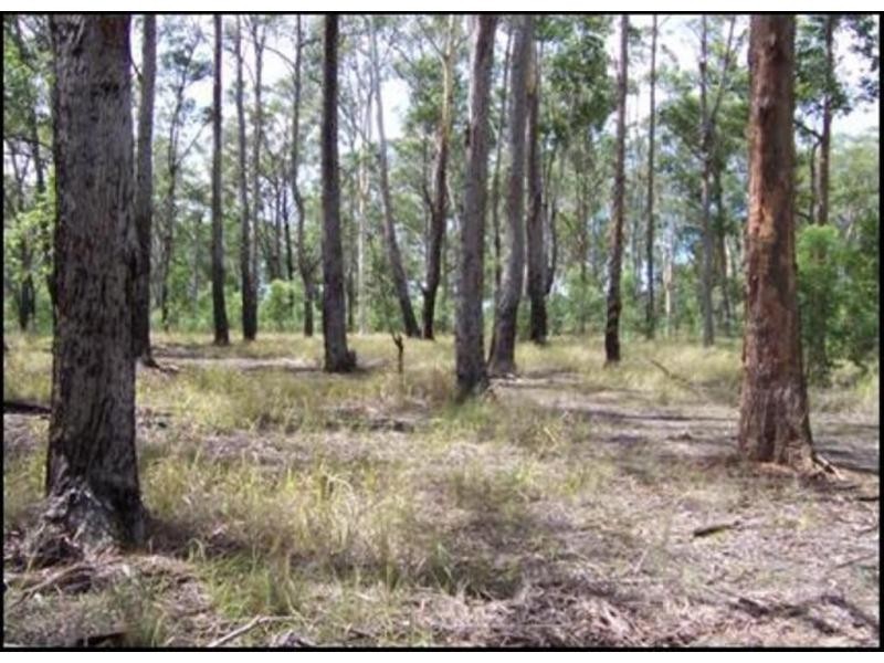 Lot 1 Old Station Road, Kempsey NSW 2440