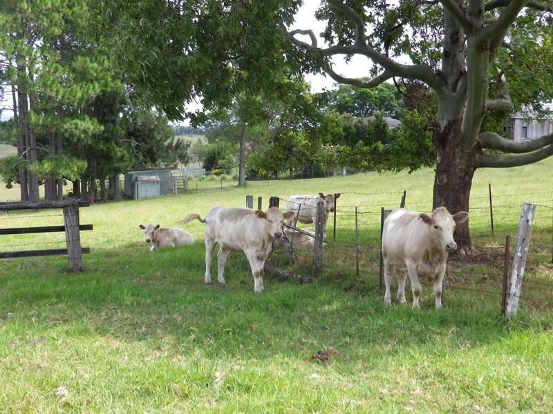 40 Maria Street, Euroka NSW 2440