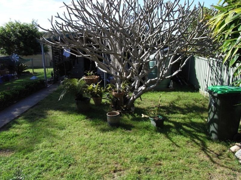 51 Queen Street, Greenhill NSW 2440