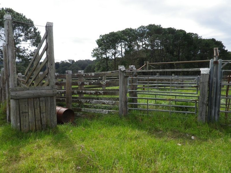 725 Stuarts Point Road, Kempsey NSW 2440