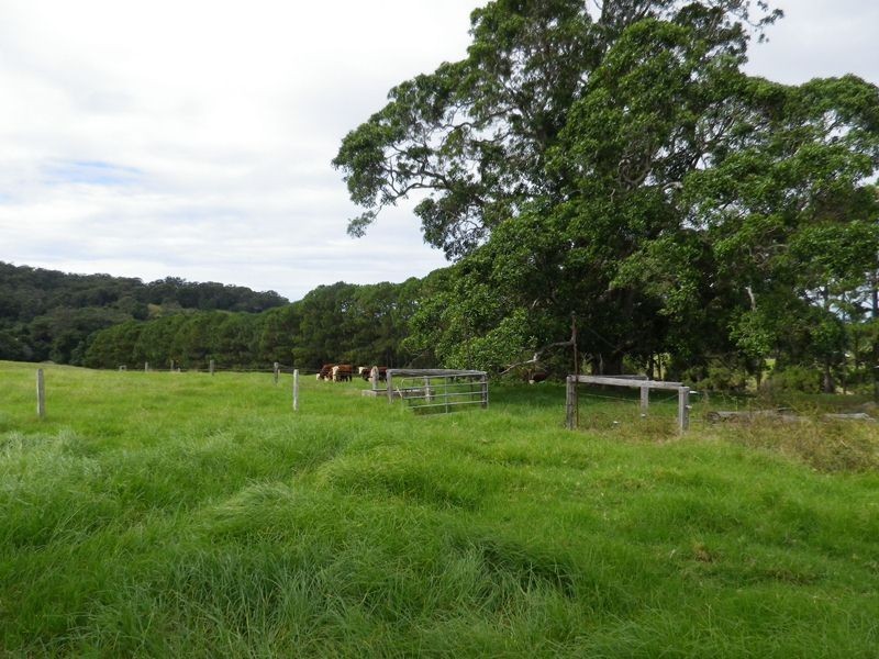 725 Stuarts Point Road, Kempsey NSW 2440