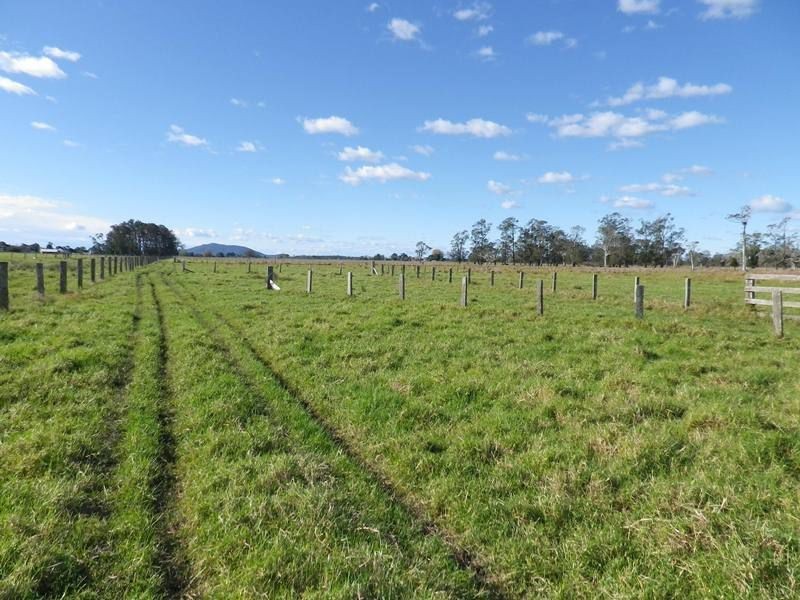 106 South West Rocks Road, Kinchela NSW 2440