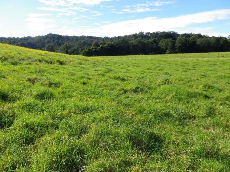 1, 17 Stuarts Point Road, Yarrahapinni Via, Kempsey NSW 2440