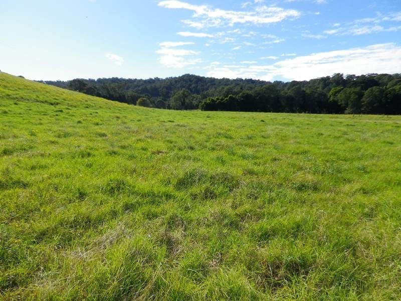1, 17 Stuarts Point Road, Yarrahapinni Via, Kempsey NSW 2440