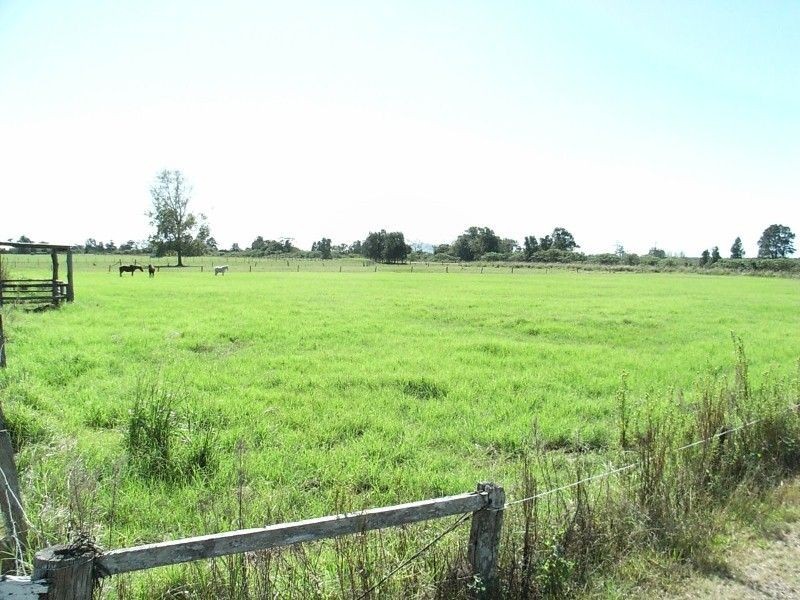 416 Kinchela Creek Left Bank Road, Kinchela NSW 2440