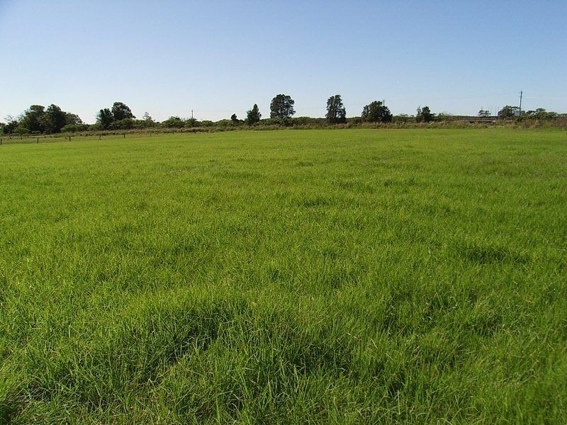 416 Kinchela Creek Left Bank Road, Kinchela NSW 2440
