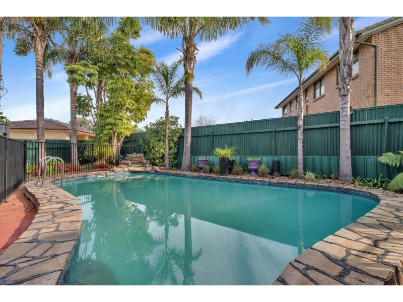 43 Capulet Crescent, Modbury SA 5092