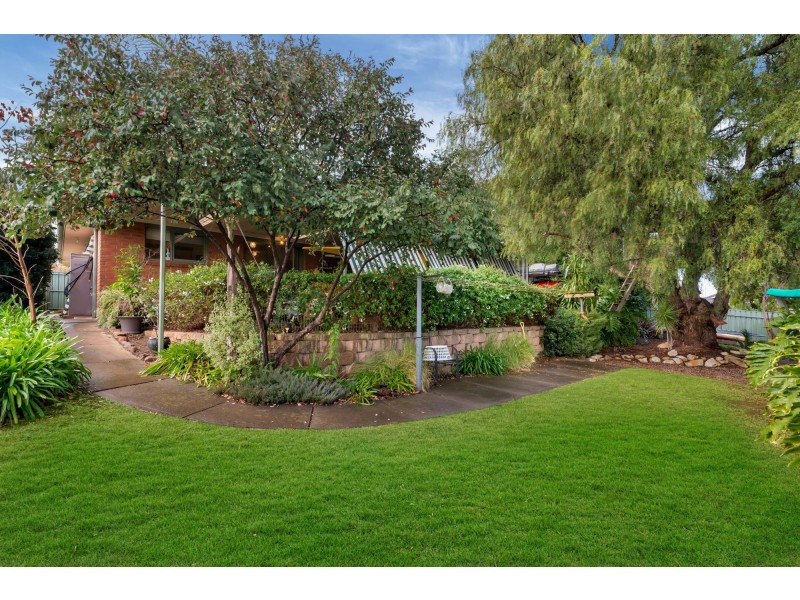 35 Thornton Drive, Greenwith SA 5125