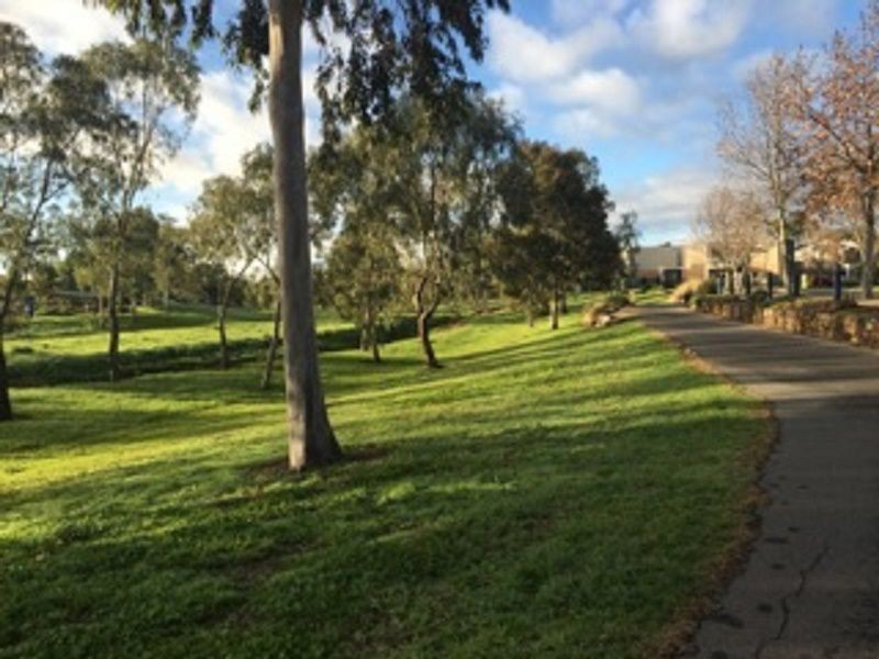 14/55 Grassswren Way, Mawson Lakes SA 5095